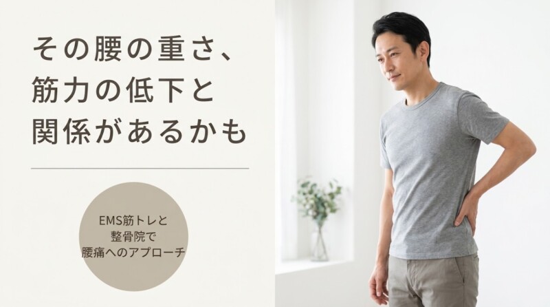 郡山市でEMS筋トレと整骨院施術を組み合わせた腰痛へのアプローチ｜日和美整骨院｜日和美整骨院