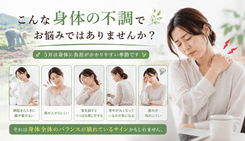 身体の歪み